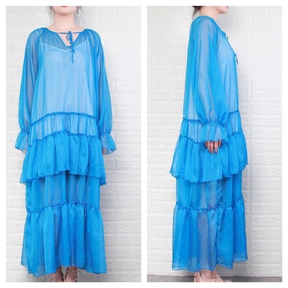 ❤️ The Lolah Sheer Ruffle Silk Dress - Picture 7 of 8